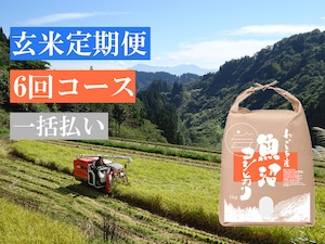 【玄米定期便 6回コース】令和５年産米 魚沼コシヒカリ 特別栽培米 5kg【一括払い】