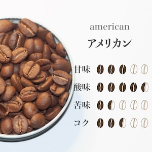 アメリカン(100g)