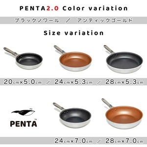 フライパン蓋付きセット 24cm ブラックノワール 王様フライパンPENTA 2.0（ペンタ）