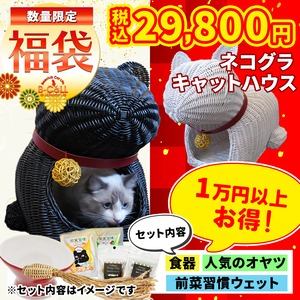 ※完売しました 【シンシアコラボ福袋（B-CaLLオリジナル）】猫のかまくら（ネコぐら）,合計39,000円以上相当の猫グッズ！人気おやつ,グッズ,ウェットフード