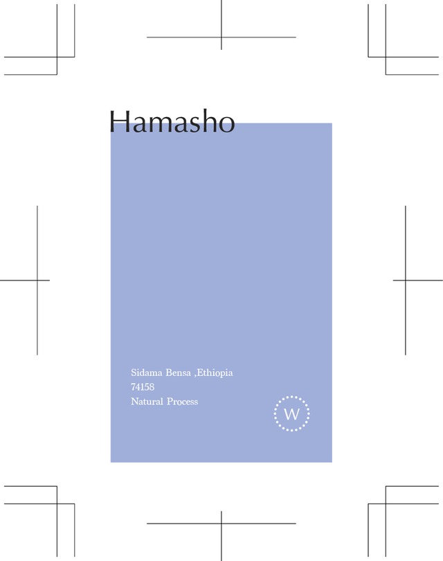 コーヒー豆 100g / Ethiopia Hamasho