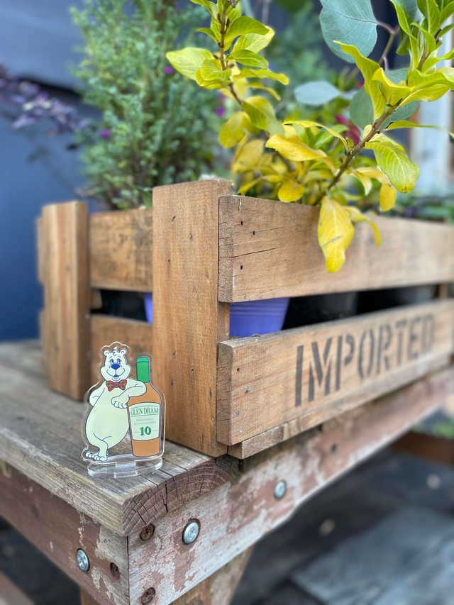 Bär Dram acrylic stand