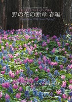 【DVDビデオ】野の花の断章・春編