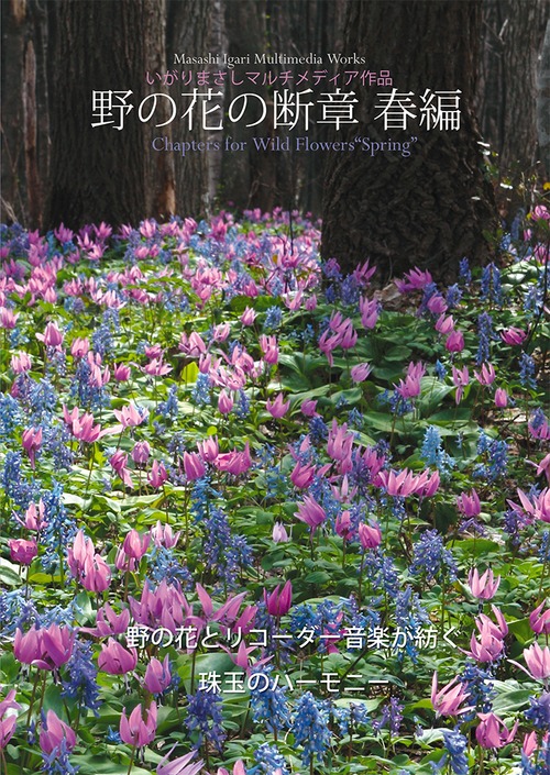 【DVDビデオ】野の花の断章・春編