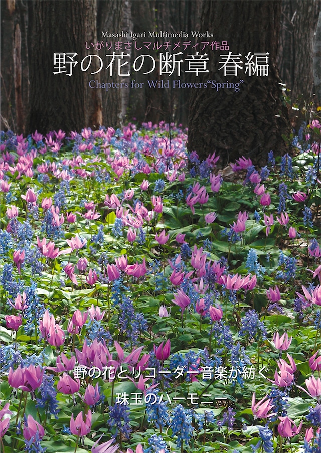 【チャリティーDVD】 阿蘇の野の花に