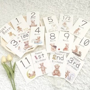 マンスリーカード 16枚セット マンスリーフォト 月齢カード 月齢フォト 出生記録 くま テディベア Just born ナチュラル１歳 男の子 女の子 プレママ ニューボーンフォト お祝い 誕生日 記念日 思い出 メモリアル ファースト バースデー ハーフバースデー プレゼント