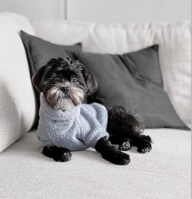 Archie Teddy Jumper