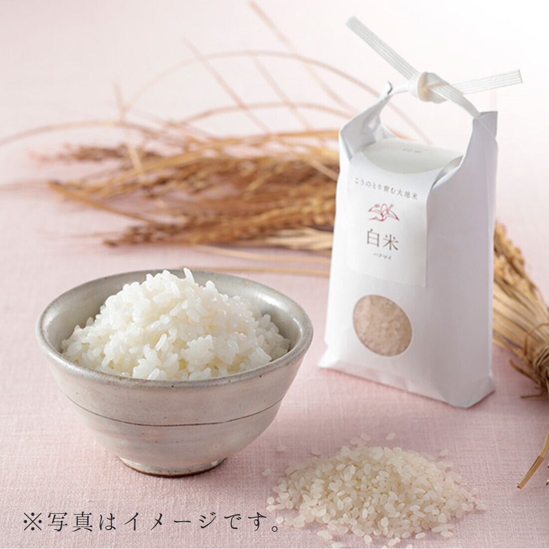 有機 白米300g(2合)【こうのとり育む大地米】 | 結-musubi-
