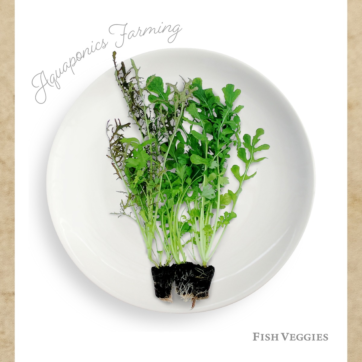 c053c40182464ce8d5cd27512ebf6c