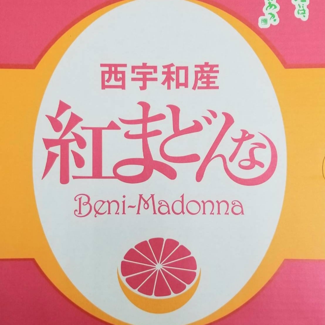 ギフト　予約販売12月発送】愛媛産　お歳暮　紅まどんな　10-12玉入　まるでゼリーのような食感　贈り物　プレゼント　ふるさとのかほり