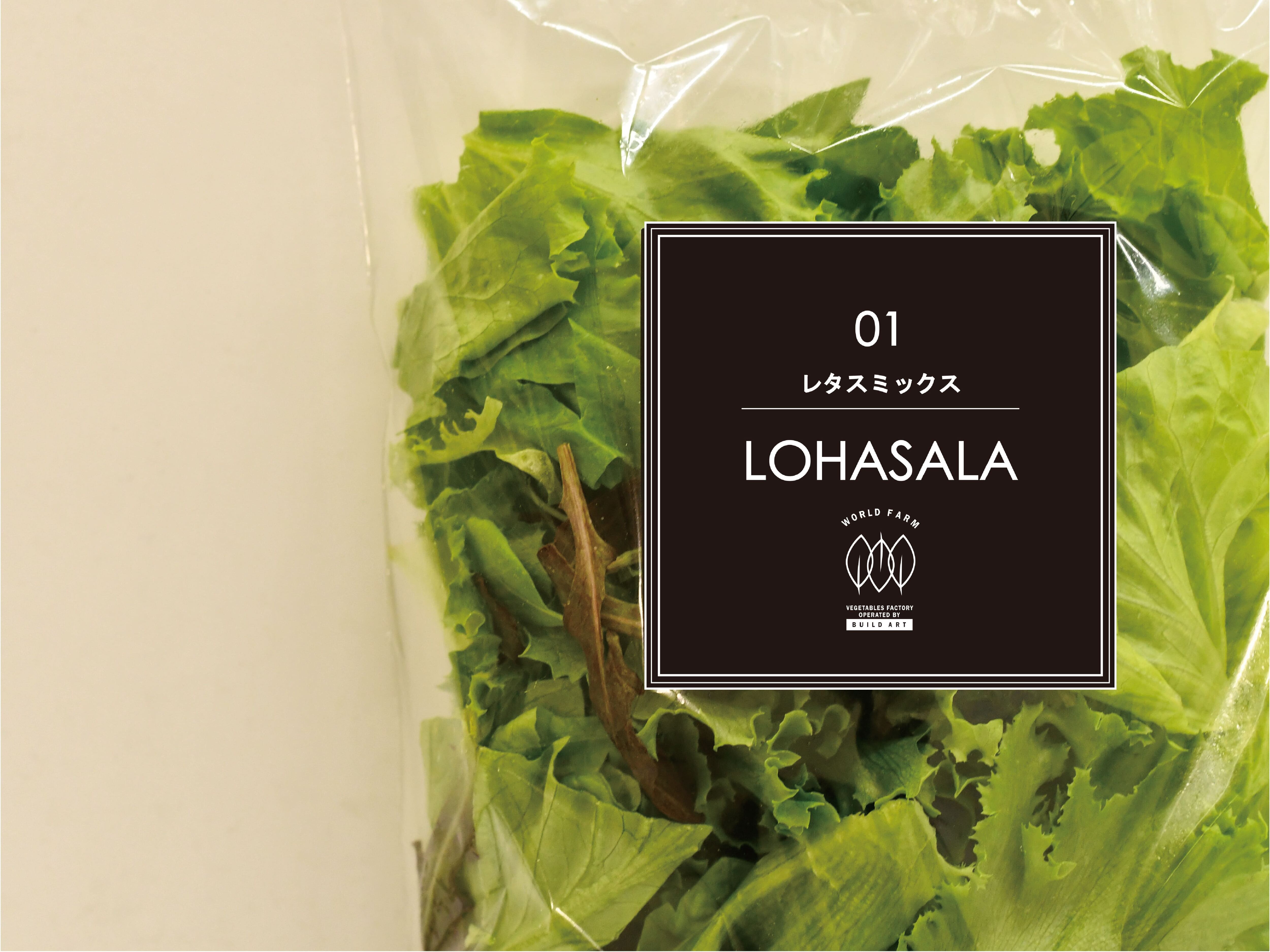 サンチュ1パック 10枚前後 100g前後 最大95 Offクーポン 100g前後