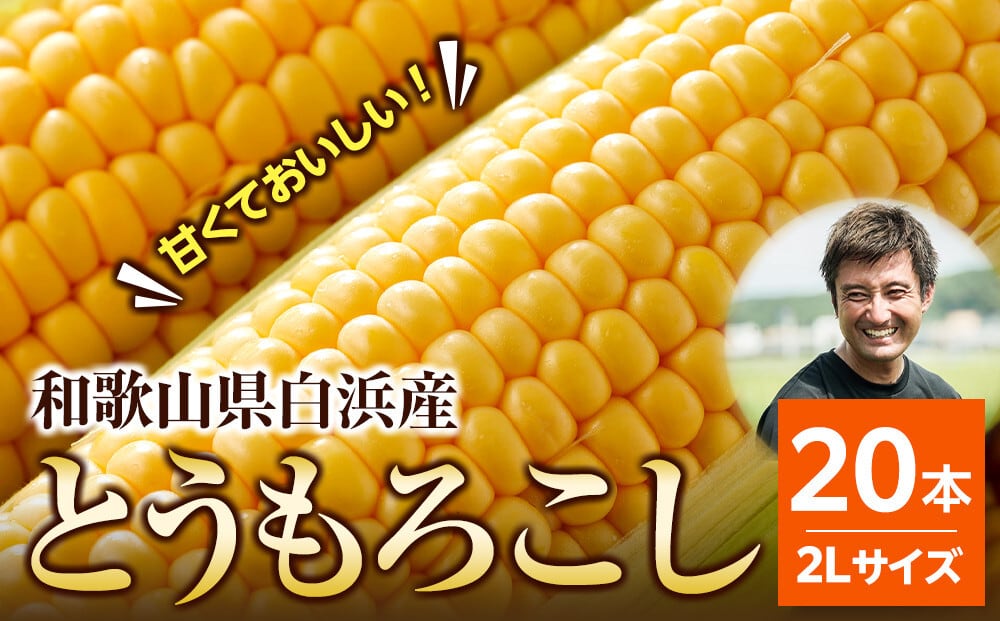 とうもろこしLサイズ12本 | わかやましらはま農家：オンラインショップ