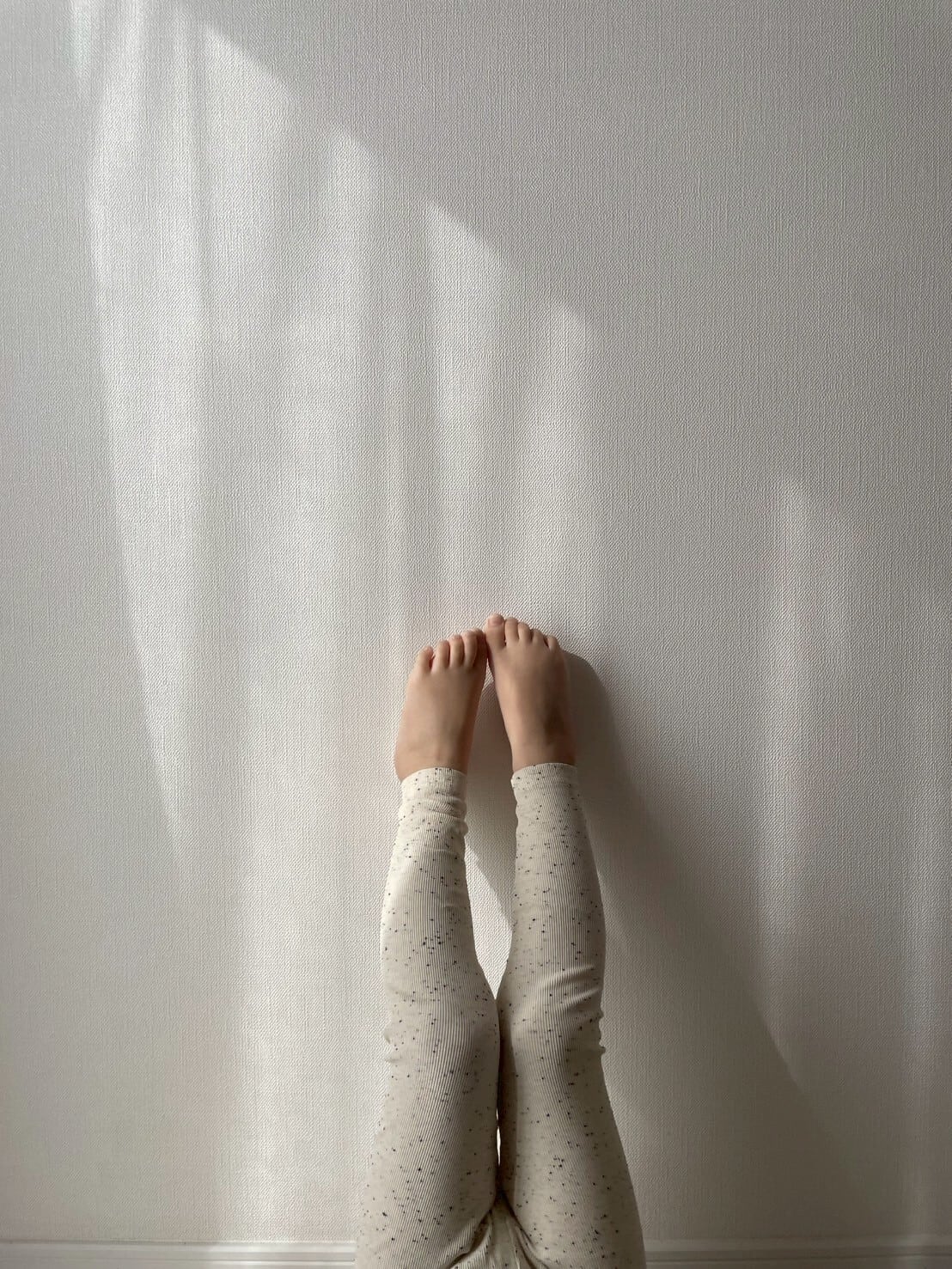 【限定復刻】digreen. coco leggings〔 つぶつぶレギンス / ココレギンス〕