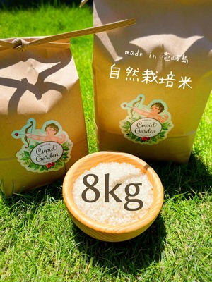 【8kg】壱岐島！自然栽培米（送料込み）【新米】