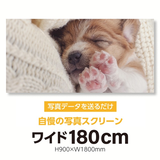 オリジナル壁紙ポスター 貼るスタ