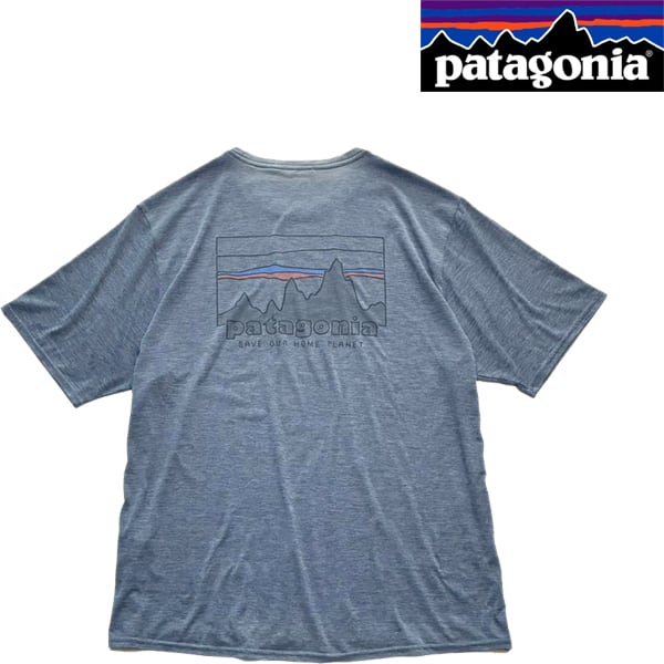 1点物◇パタゴニアPatagoniaバックプリント旧ロゴTシャツ古着LメンズXL