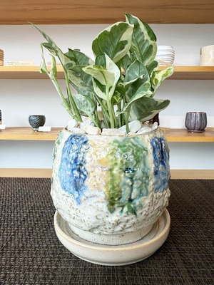 ポトス・エンジョイ