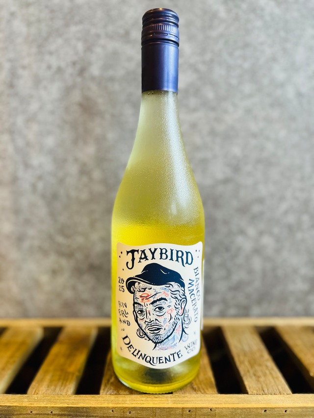 ロコ・イル・バガボンド'25