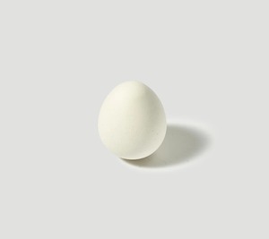 Yohaku (ヨハク) Porcelain aroma stone【Egg】アロマストーン
