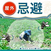 アース長持香 蚊取り線香 ビャクダンの香り 50巻缶入 線香立て付き 蚊 駆除 忌避 長時間 屋内 屋外 蚊よけ 蚊とり 侵入 対策