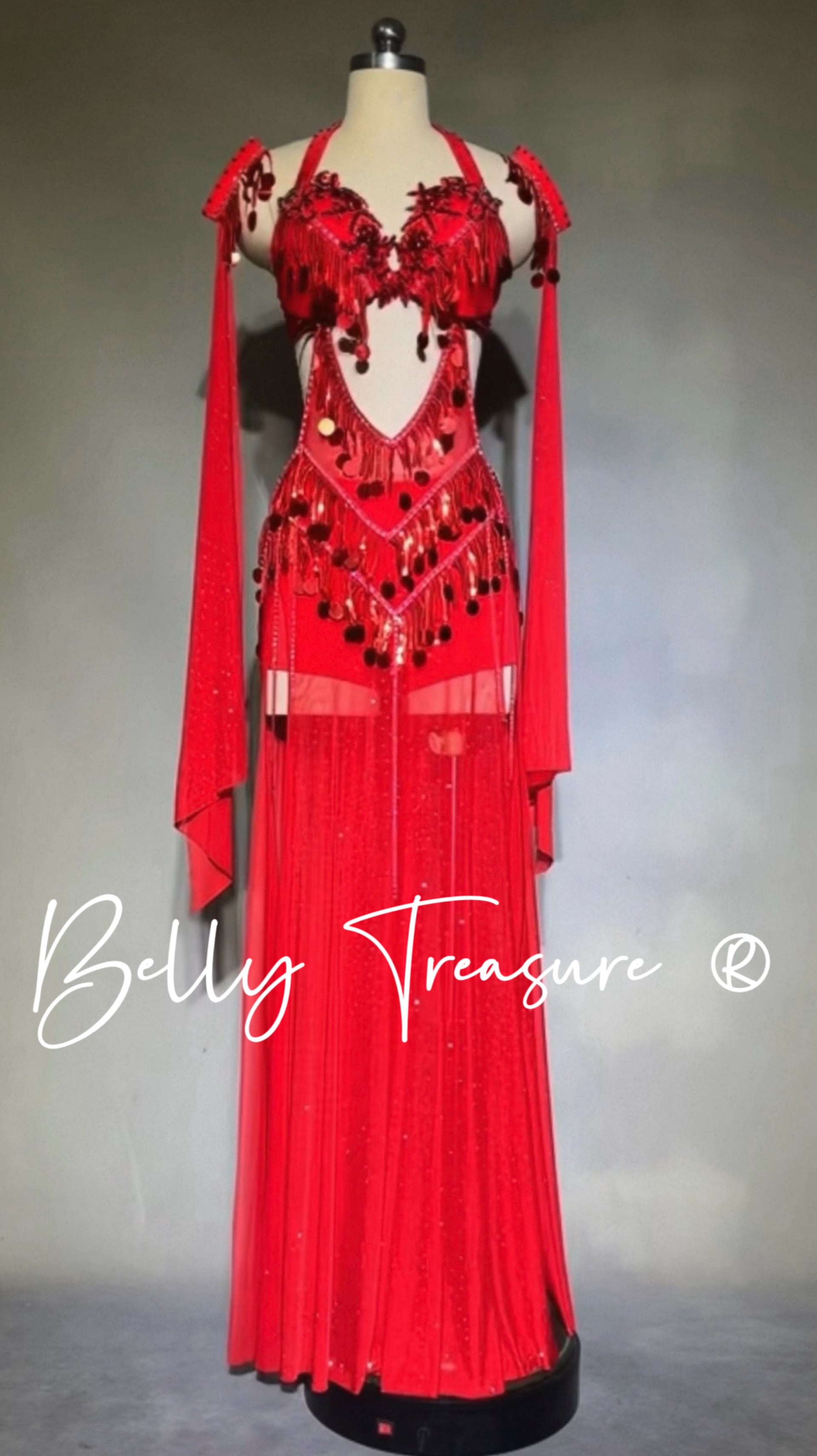 ベリーダンス オーダーメイド衣装 YWQQ Y221 202602