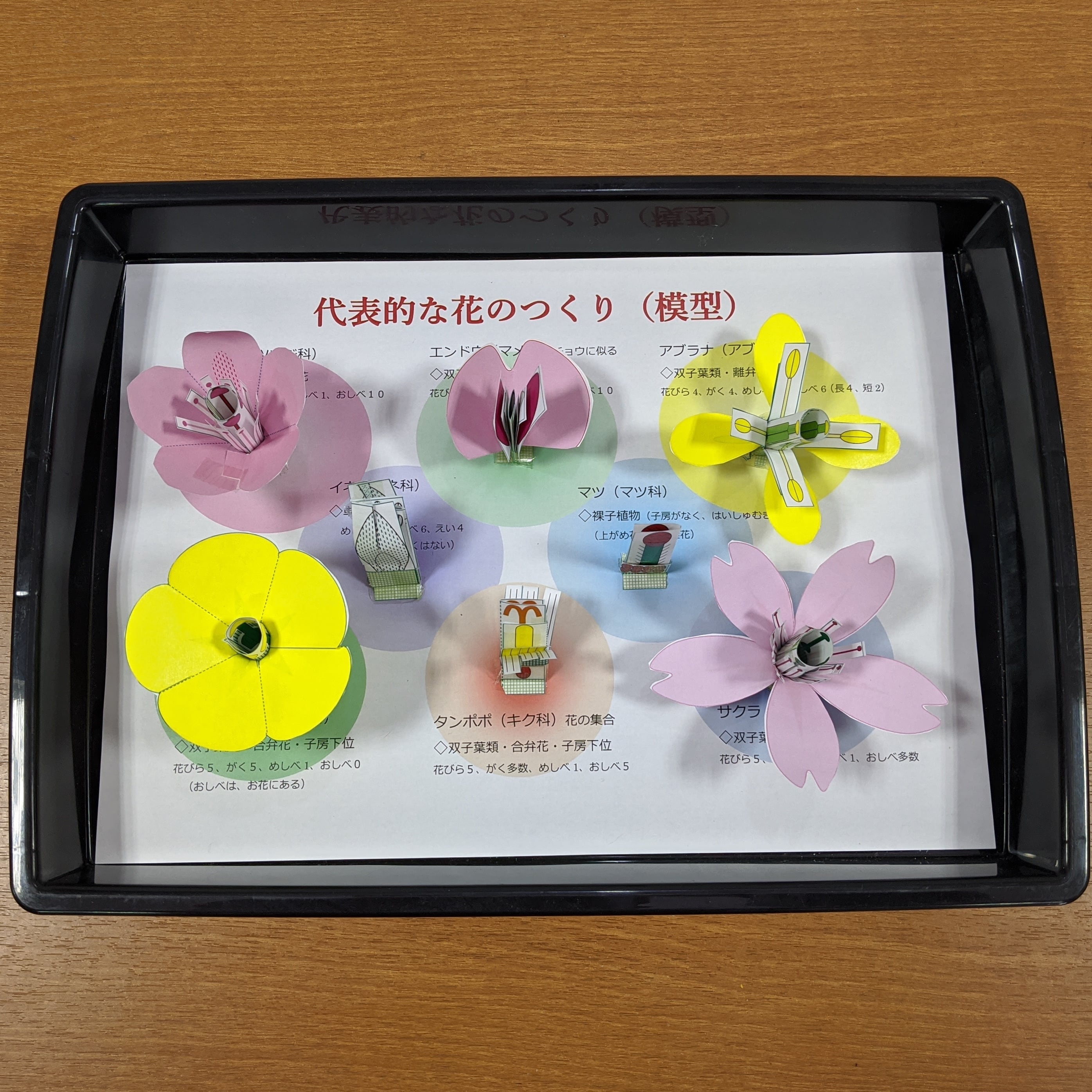 花のつくりペーパークラフト 親子セット 箱付き Benkyou110