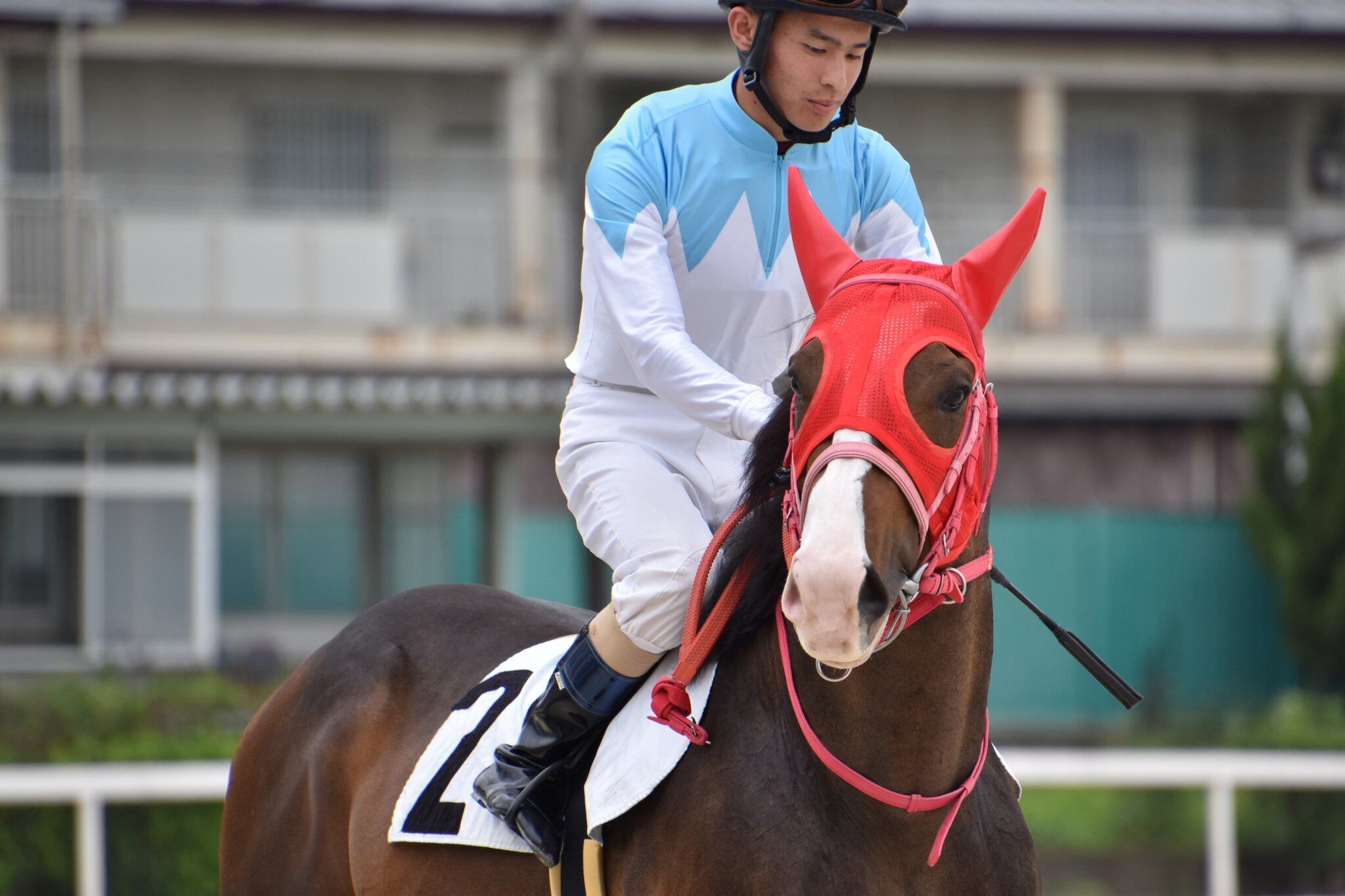 ponyland】クッションブランケット