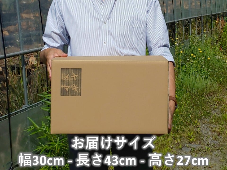 ミニマキ】広葉樹薪 約10kg 「白神の炎」ソロキャンプ・焚き火用まき