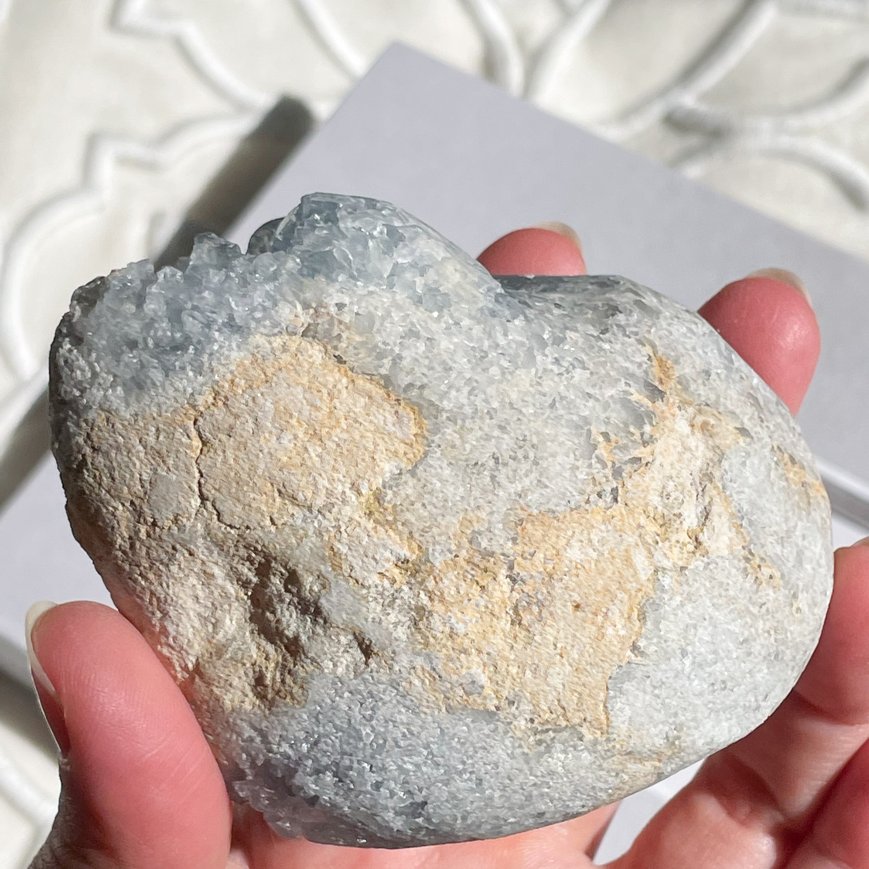 Celestite ✧ セレスタイト 24 | FLUXY - 天然石と鉱物のお店 フラクシー