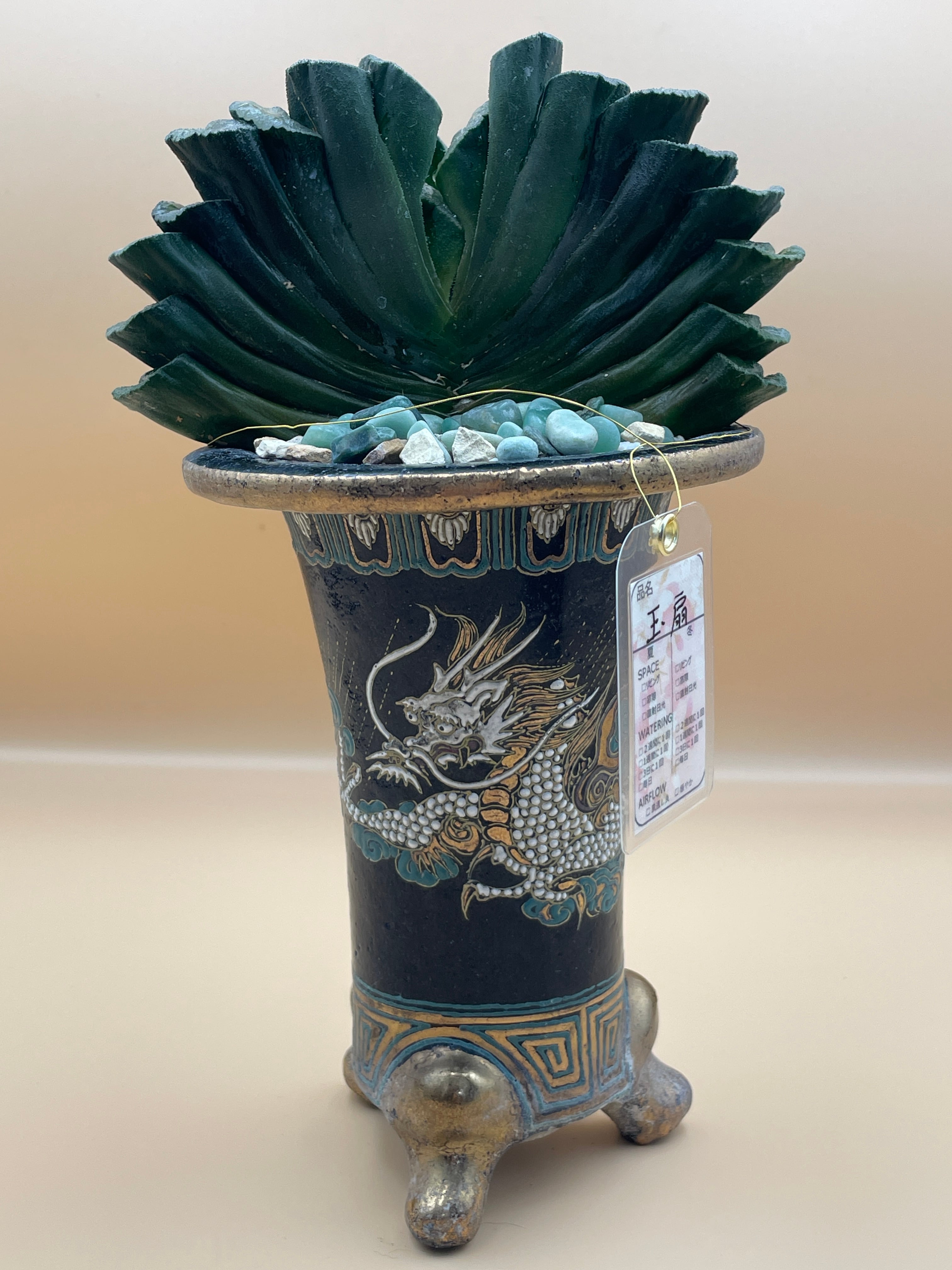 植物 | むすにわ