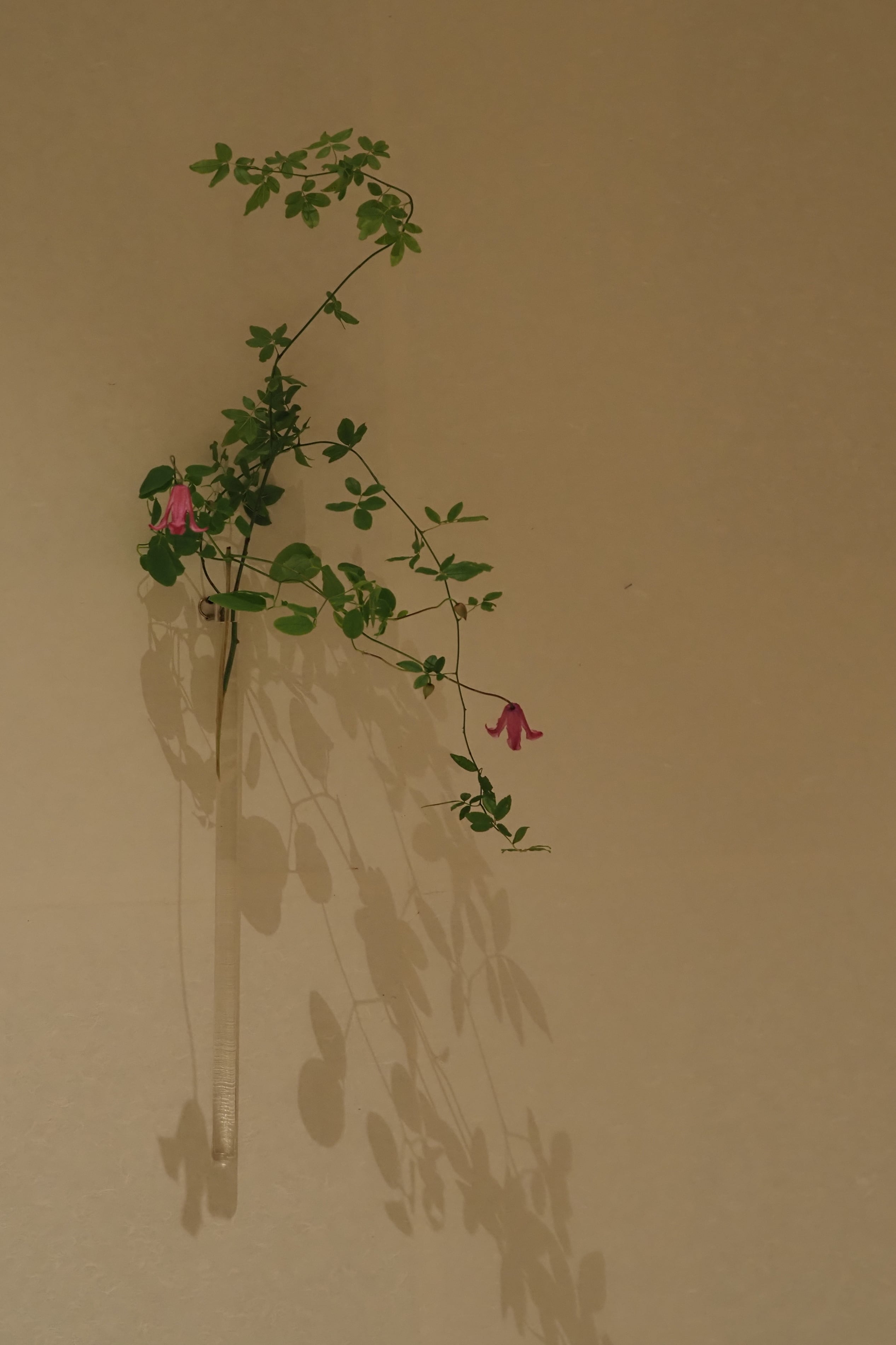 津田清和 160. 筒掛花入 | 陶屋なづな