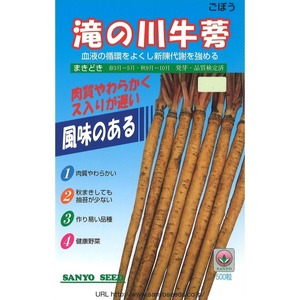 滝の川牛蒡（200粒）