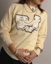 1960's Illinois / Sweat Shirt
