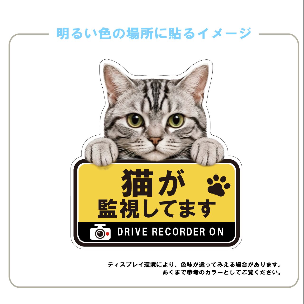 アメリカンショートへアー・アメショー・猫・ドライブレコーダー・ドラレコステッカー・角ゴシック・おしゃれ・撮影中・車・ステッカー・インクジェット印刷・屋外用・猫好き・ドライブグッズ・監視しています・おしゃれ・かわいい・肉球
