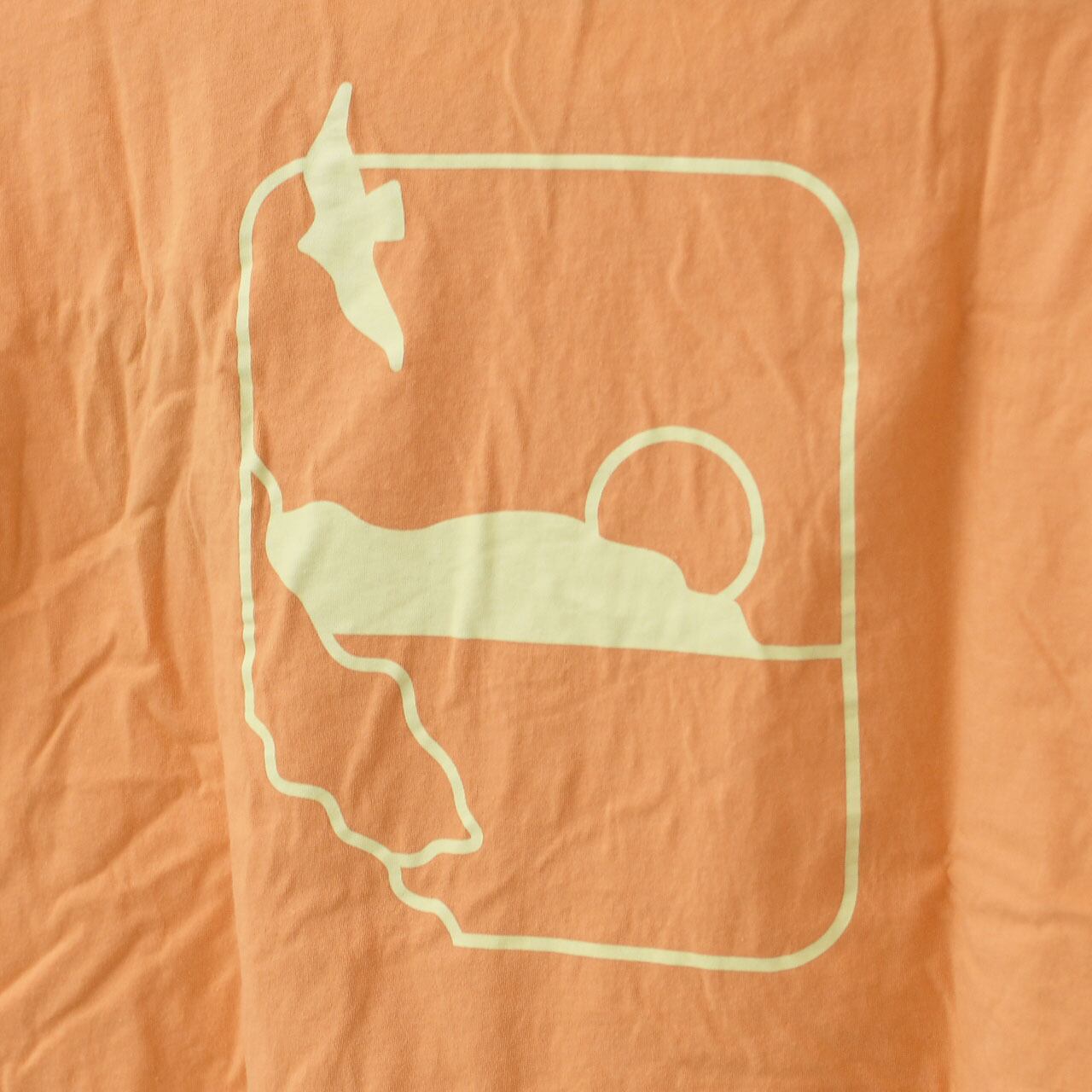 Patagonia [パタゴニア正規代理店] W's L/S Swelldrifter Easy Cut