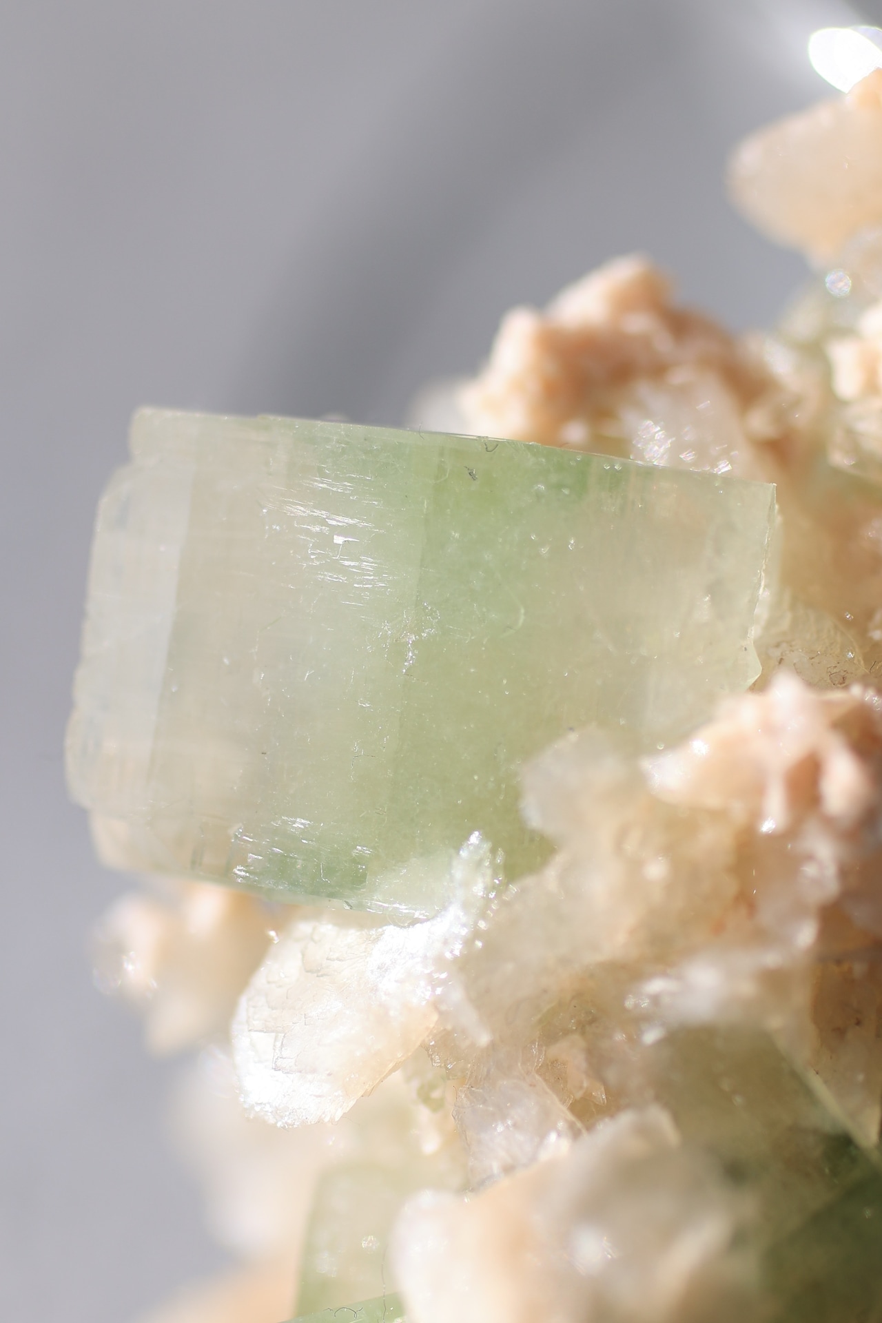 グリーンアポフィライト × スティルバイト Green Apophyllite with Stilbite |天然石 原石 鉱物 パワーストーン|st00415