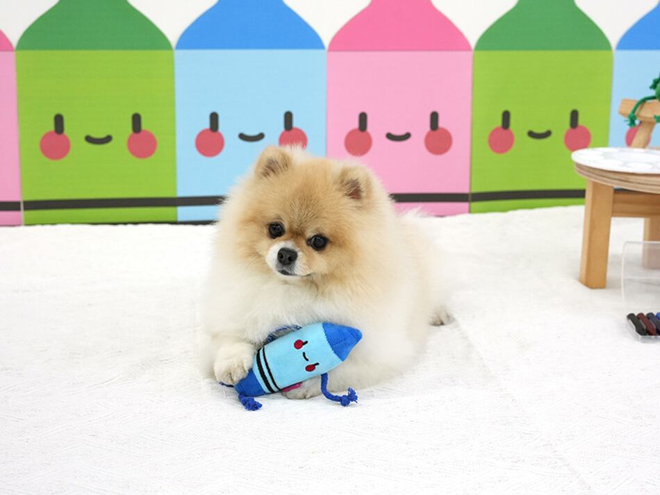 crayon toy / ペット 犬 おもちゃ 噛む 音が鳴る ロープ 知育玩具 鳴き笛入り 可愛い わんちゃん おもちゃ ストレス解消 韓国 ペット用品 toy18