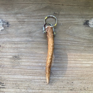 ヤクシカの角キーホルダーNo4