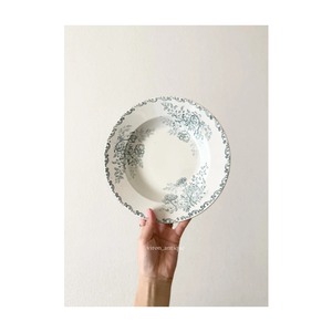 Sarreguemines    サルグミンヌ　/   “EGLANTINE” 　野ばらが美しい深皿プレート　c