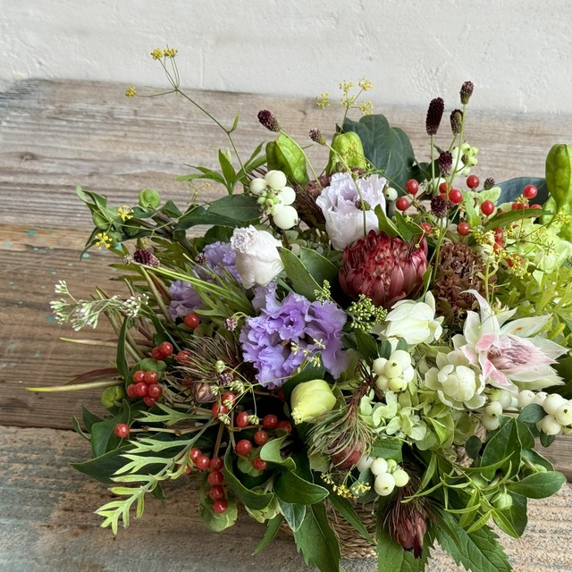 Season Arrangement　ーOMAKASE– 【S size】