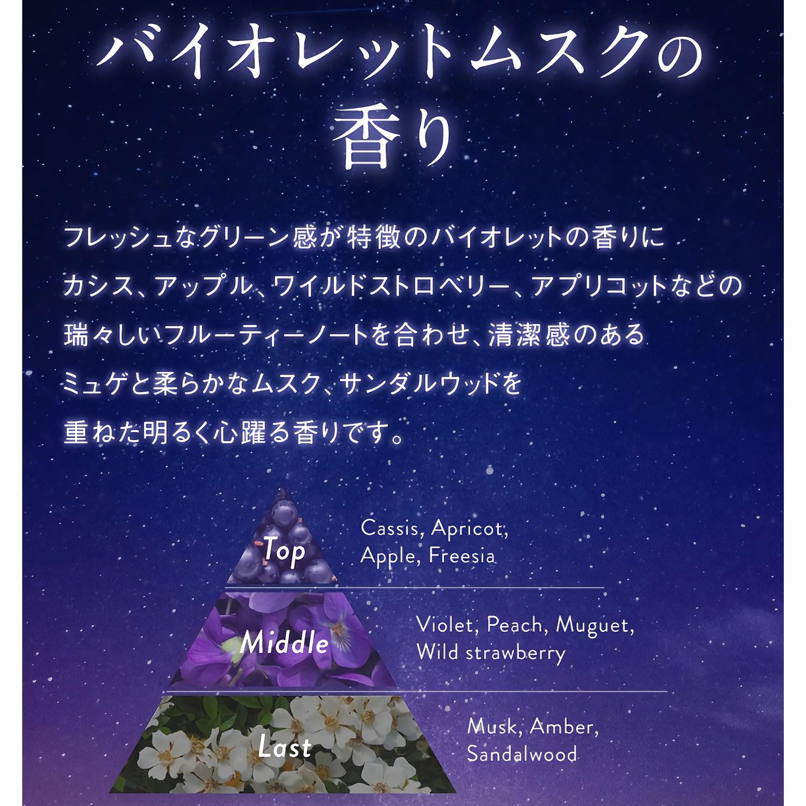 《セット・送料無料》R-21 エクストラ シャンプー 700ml レフィル 2個セット サロン専売品 プロヴァンス パドルブラシ SPV70150 粧美堂 PROVENCE スカルプケア