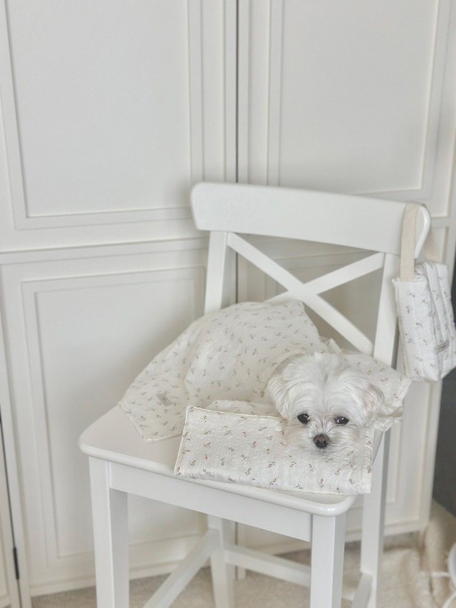 〈即納アイテム〉EYOU / ソフトデイズクールピロー -フラワー