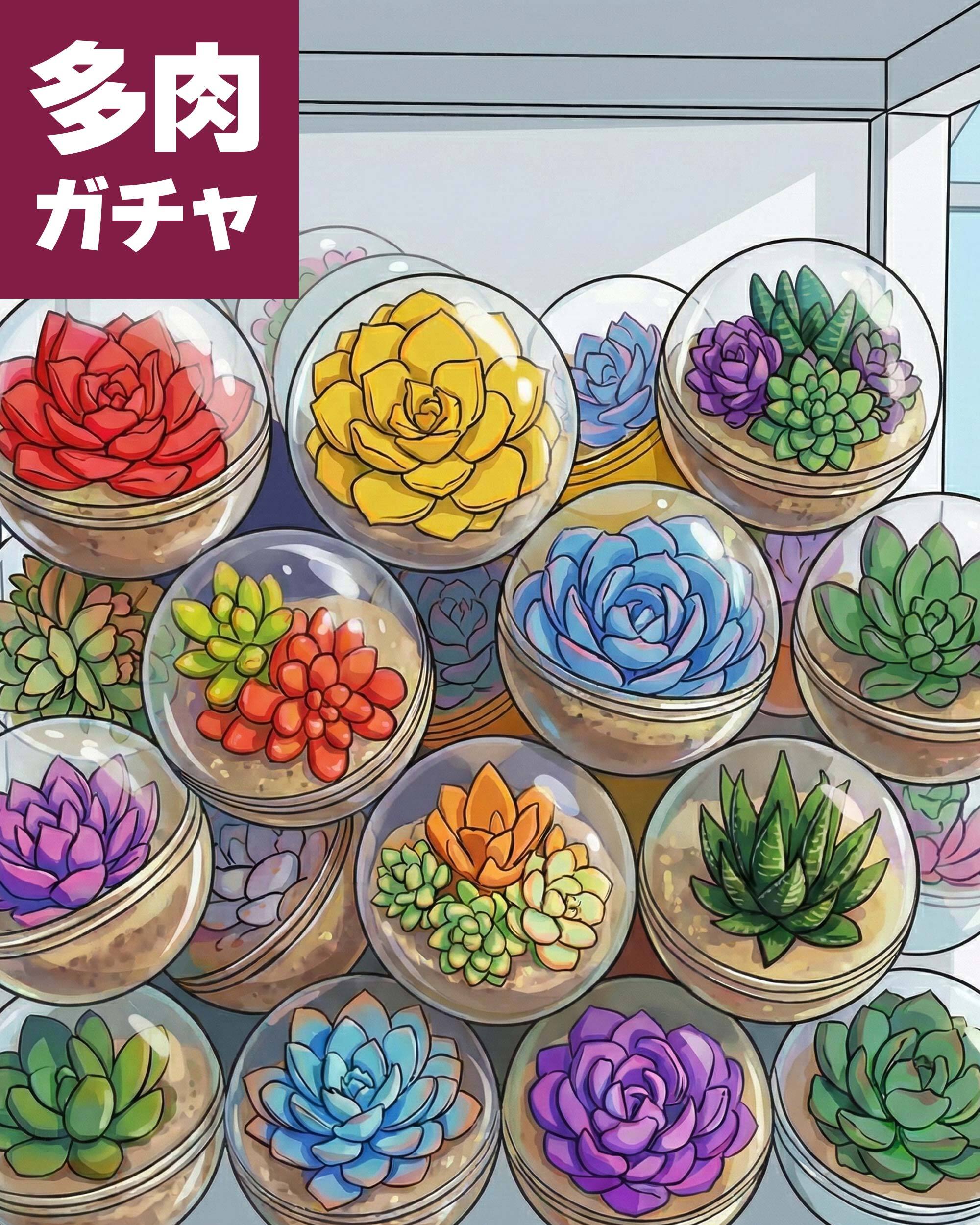 NEW RELEASE | PUKUBOOK SUCCULENTS
