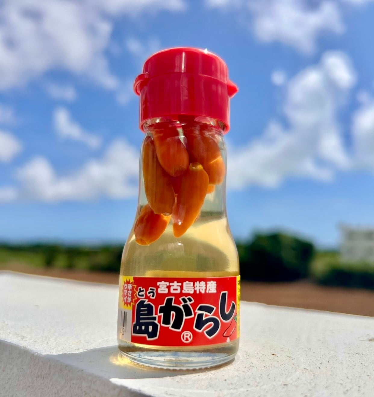 入荷！】伊良部島特産「かつおの塩辛」300g | 宮古島の良い物をお届け