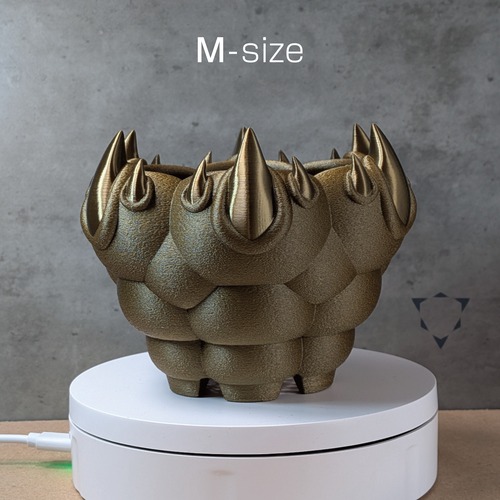 yawara艶爪 size-M GOLD