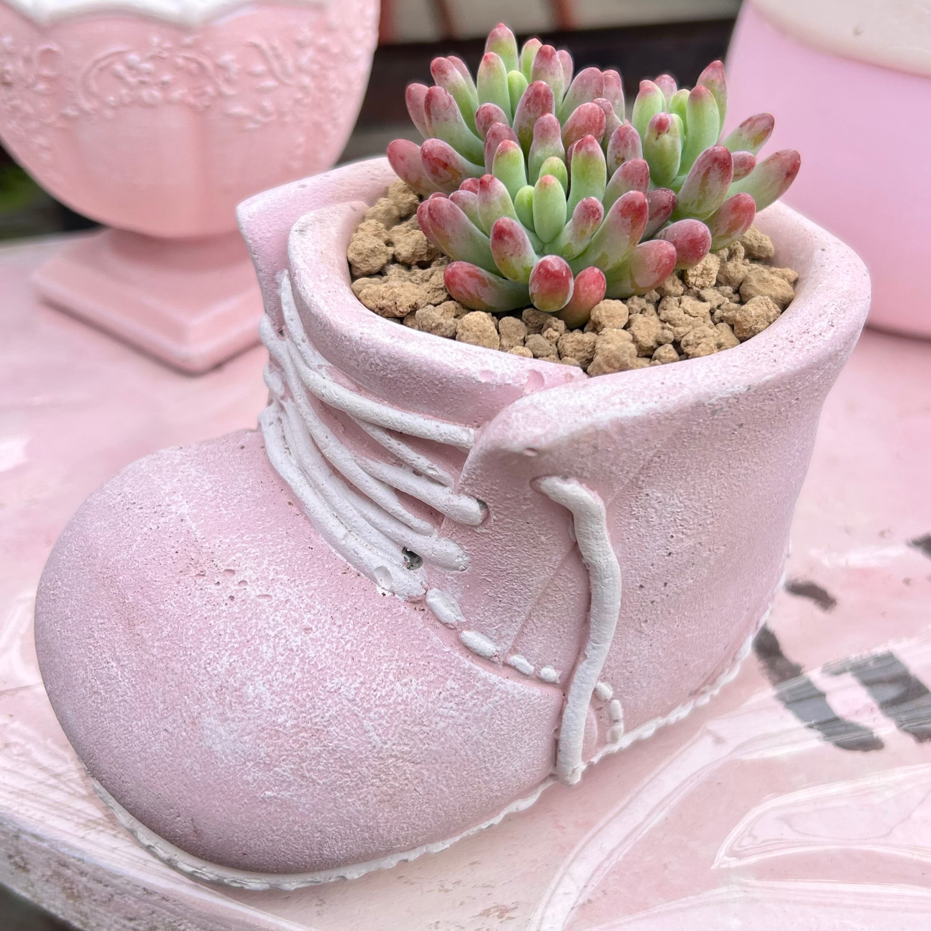 既製品鉢 | RuPo 多肉植物専門店