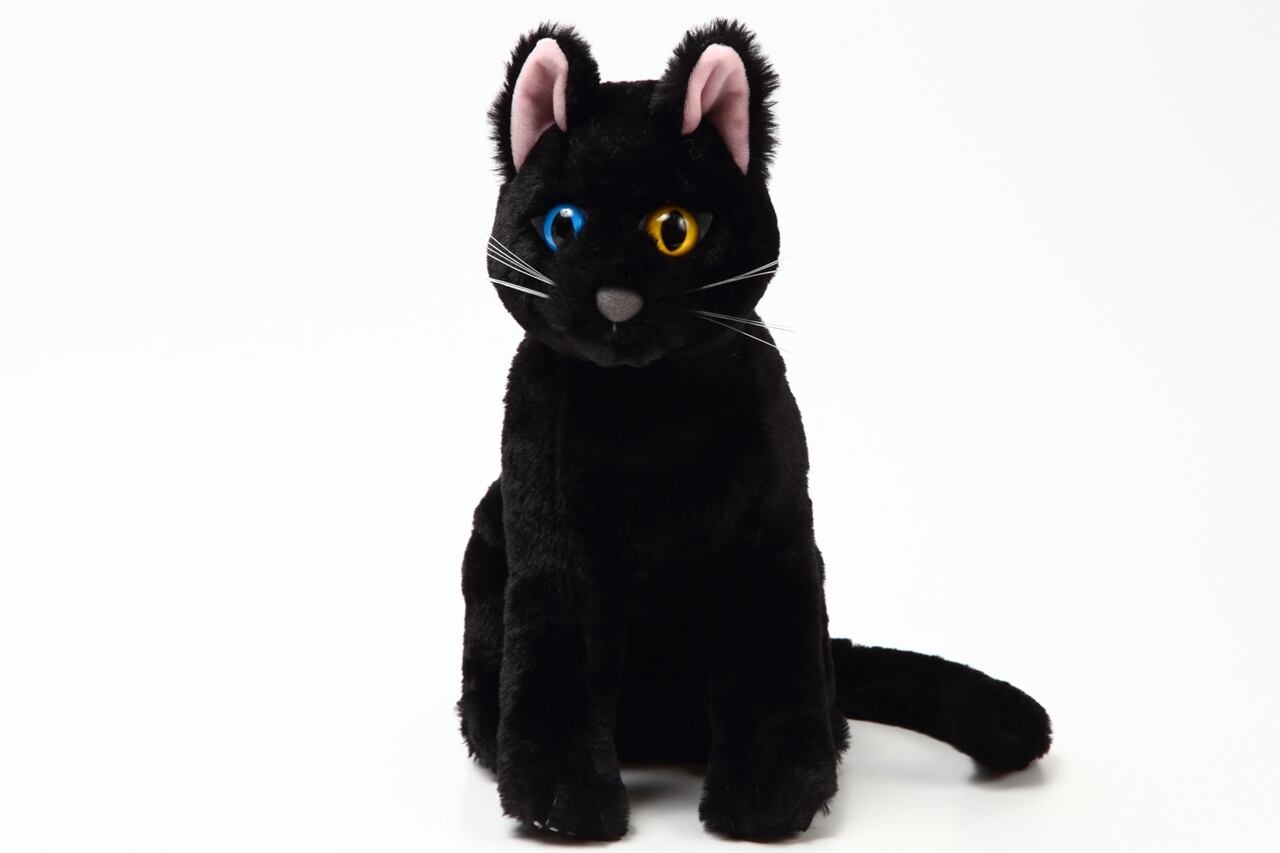 Noble cat/ノーブルキャット　ポンチョ＆帽子の衣装付き　黒猫　白猫　ねこのもり