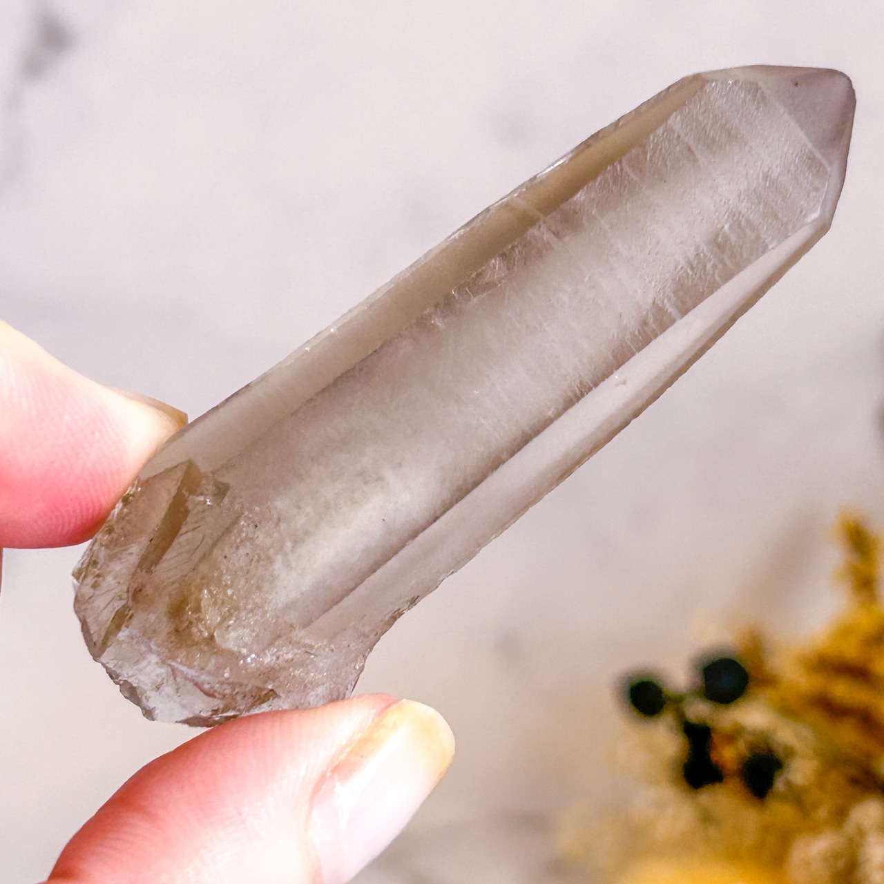 ミナスジェライス産 スモーキークォーツレムリアンシード/トリプルイシス・レコードキーパー