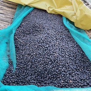Ethiopia Shantawene【エチオピア シャンタウェネ】85g