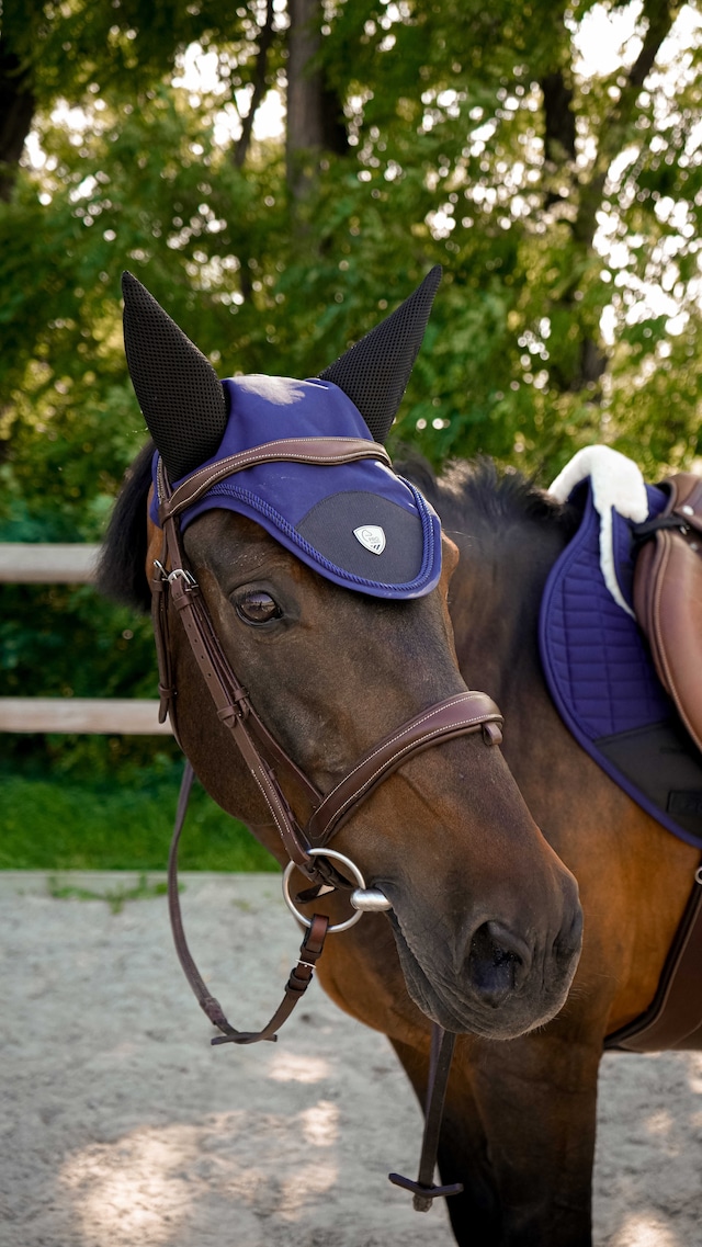 LAMI-CELL Titanium Mask ラミセル チタン配合 リラックスフェイスマスク［お届け目安：2〜3週間］